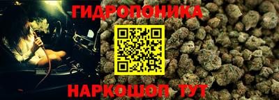 мескалин Новодвинск